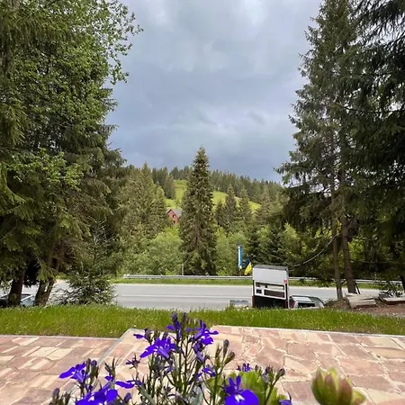 Smereka Apartment Yablunytsya
